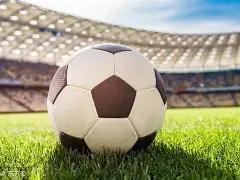 潘展乐与唐,钱婷晋级决,新加坡游泳,龙8国际,龙8国际官网,龙8国际H5官网