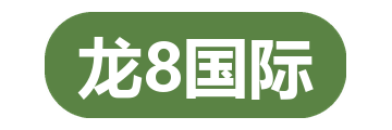 龙8国际