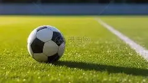 龙8国际 产品 084650 zsr